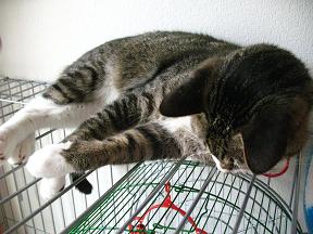 なぜそこで？！