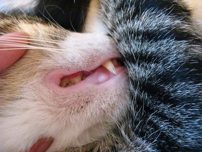 いじられても動じず。。。