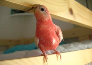 毎日楽しそうだねぇ～