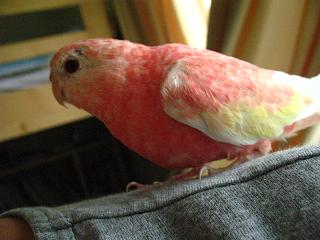 元気なのは相変わらず