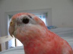 どうなんすかねぇ～