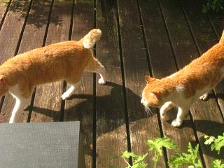 あー頭が。。。