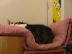 これからムンムンしてくるロフトですぞ。。。