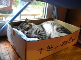 季節の和菓子王子