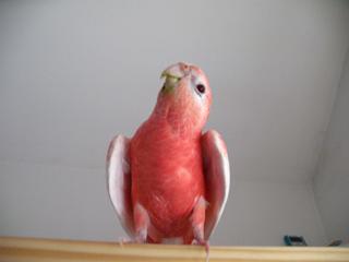 なんだか踊りた気？！