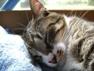 すんごい寝てた