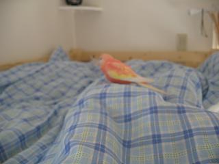 壁の棚に置いてある時計の方まで歩く