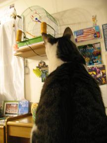 こんな感じでだいたい見ている女子