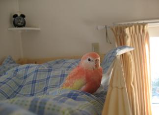 手前まで戻ってきていたお方