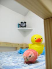 全然近寄らない