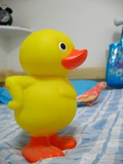 離れてくし。。。