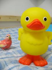 大きい兄さんという感じ、ですか？！