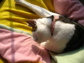 足、のばし＆ひろげすぎ？！