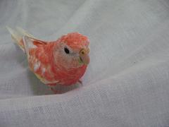 ふとん大好き少年