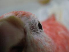 カメラに向かう