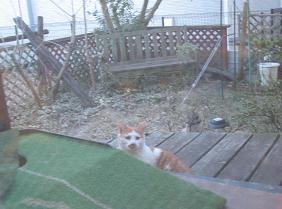 チョビ君よりブサイク。。。