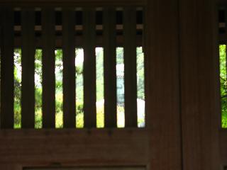 かすかに見える大仏君