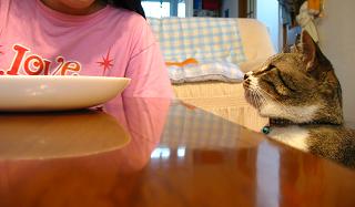 上下に動く目線