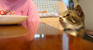 じぃーっと待つ男子