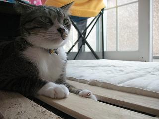 なぜずっと真顔？