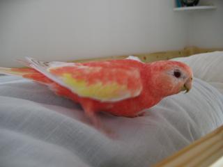 あいかわらずです