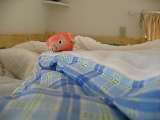 ふとんの上をあちこち移動