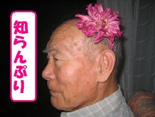 花しげ　大