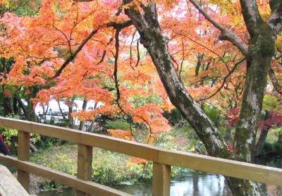 秋の由布院