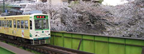 都内散歩 都電と桜