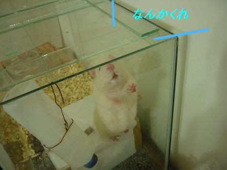 ina2