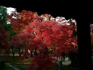 東福寺通天橋２