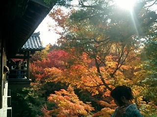 東福寺通天橋３