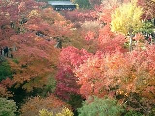 東福寺通天橋５