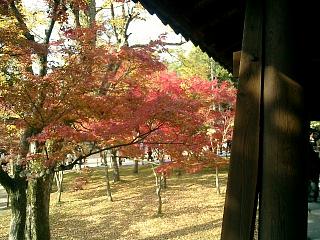 東福寺通天橋８