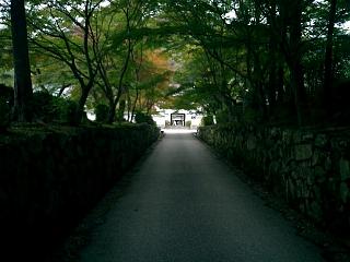 興聖寺琴坂