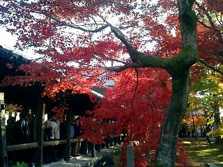 東福寺通天橋２２
