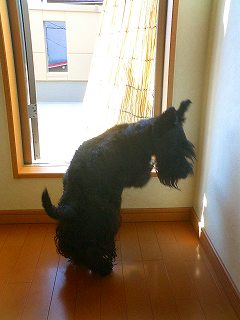 行く？行かない？２