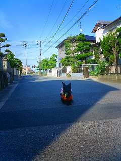 おもちゃ