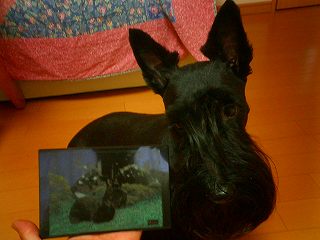 モネといっしょ２