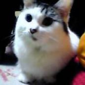 2005-10-29 23:52:13