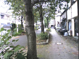 家族画像 370.jpg