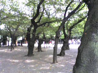 家族画像 302.jpg