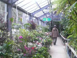 2010年2月　宮の下のホテル