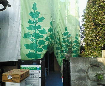 お気に入り 319.jpg