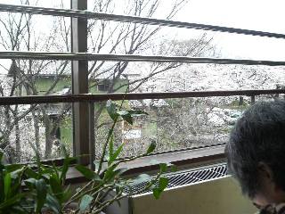 2010春の食事会　部屋から