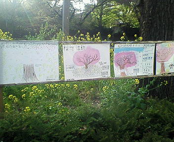 国立　大学通り