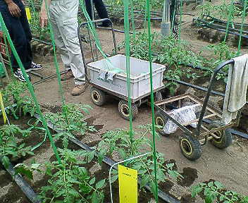 家族画像 130.jpg