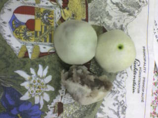 家族画像 219.jpg