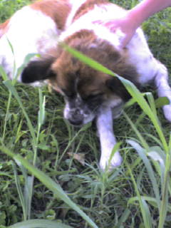 家族画像 314.jpg