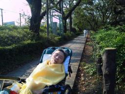 お母さん　20111010